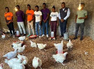 Actividade da cooperativa Criação E Venda De Frangos